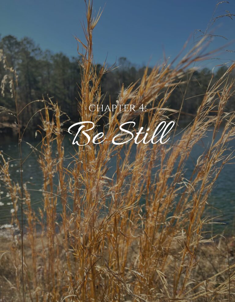 Chapter 4: Be Still