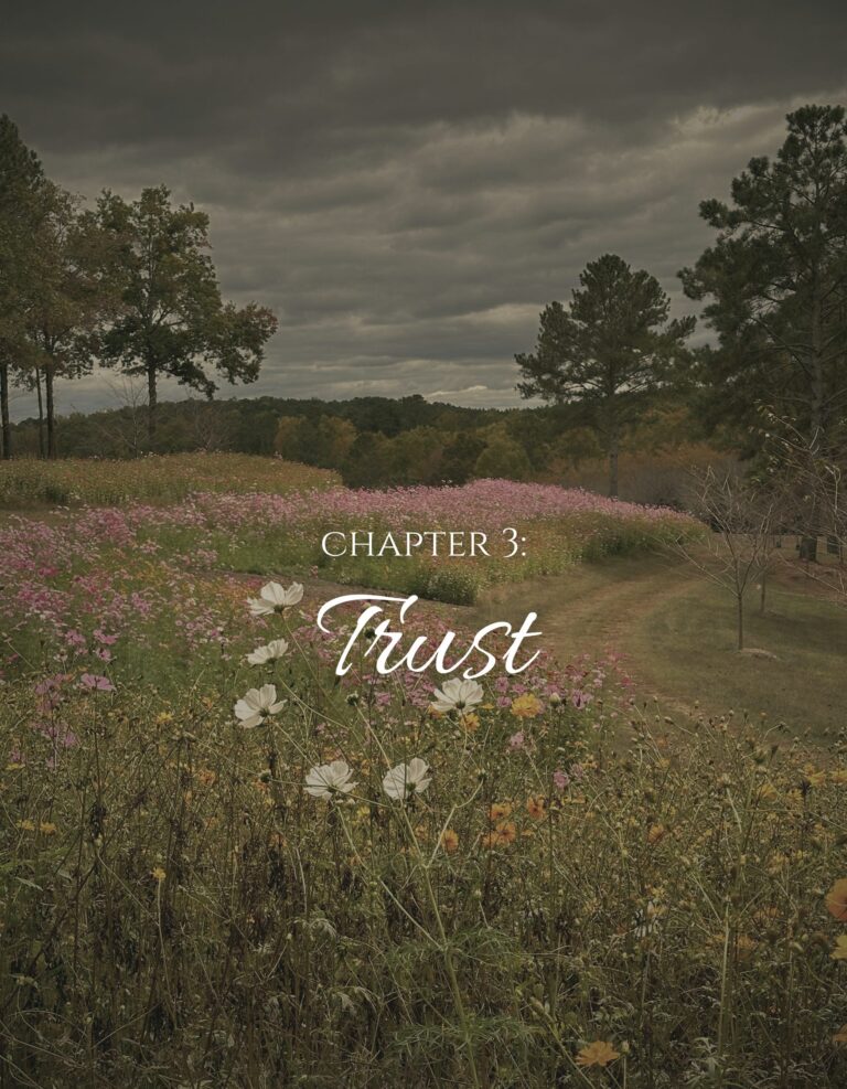 Chapter 3: Trust