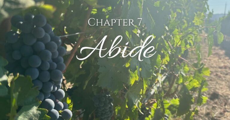 Chapter 7: Abide