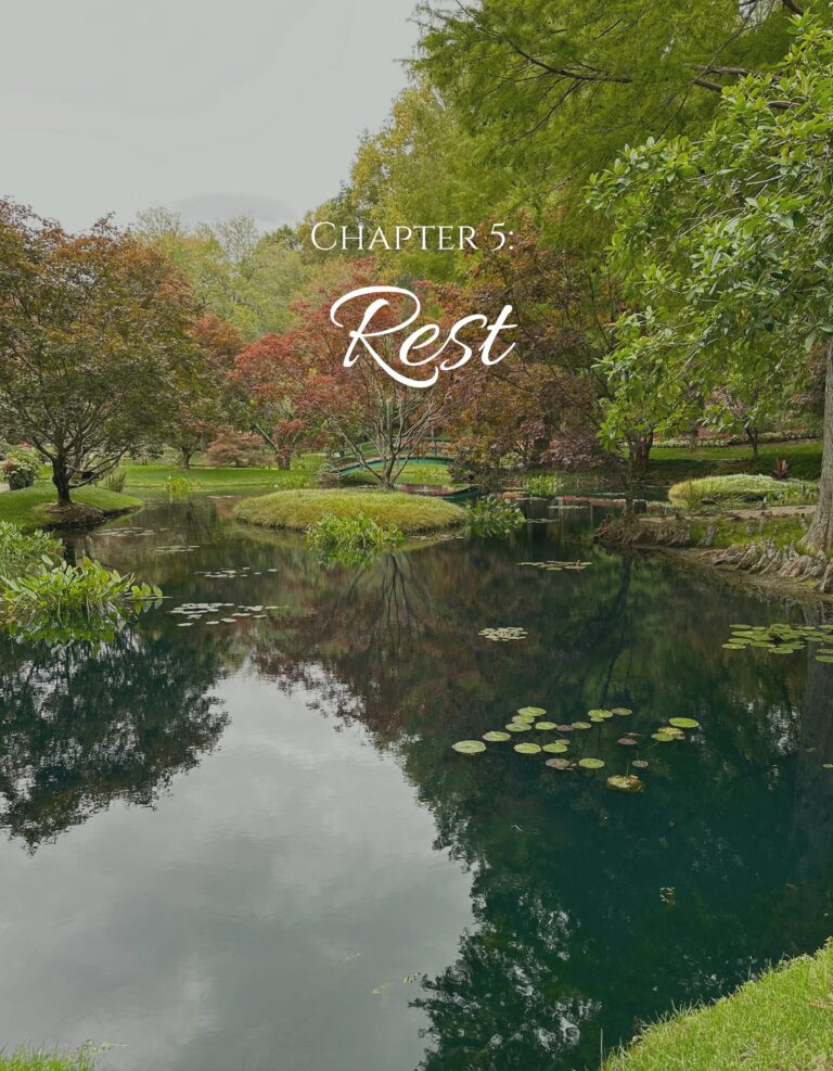 Chapter 5: Rest