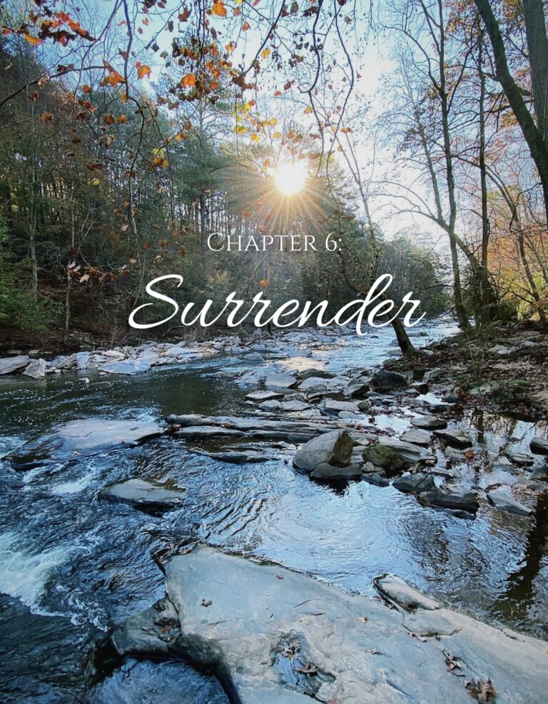 Chapter 6: Surrender