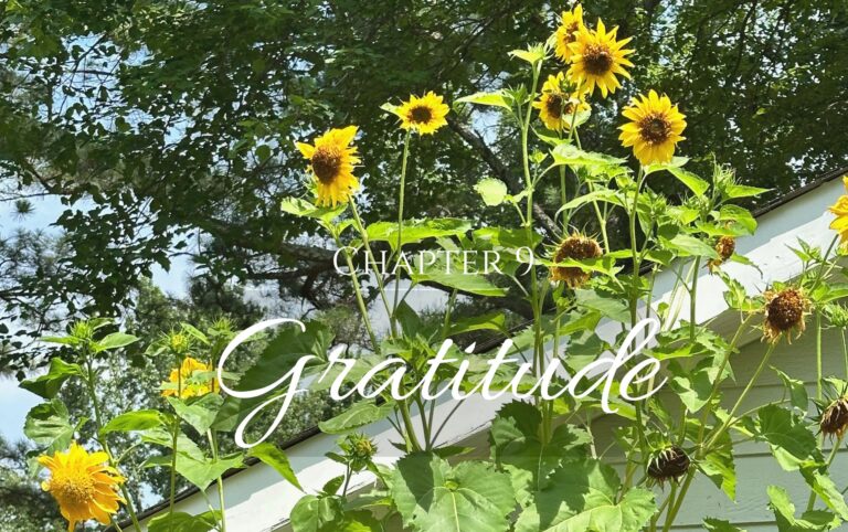Chapter 10: Gratitude
