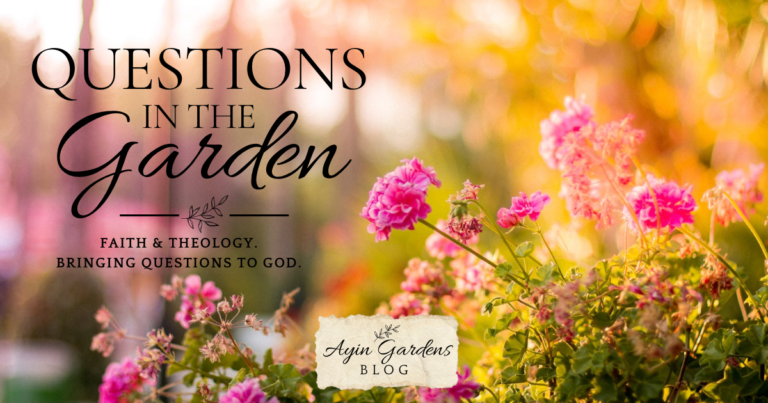 Questions In The Garden