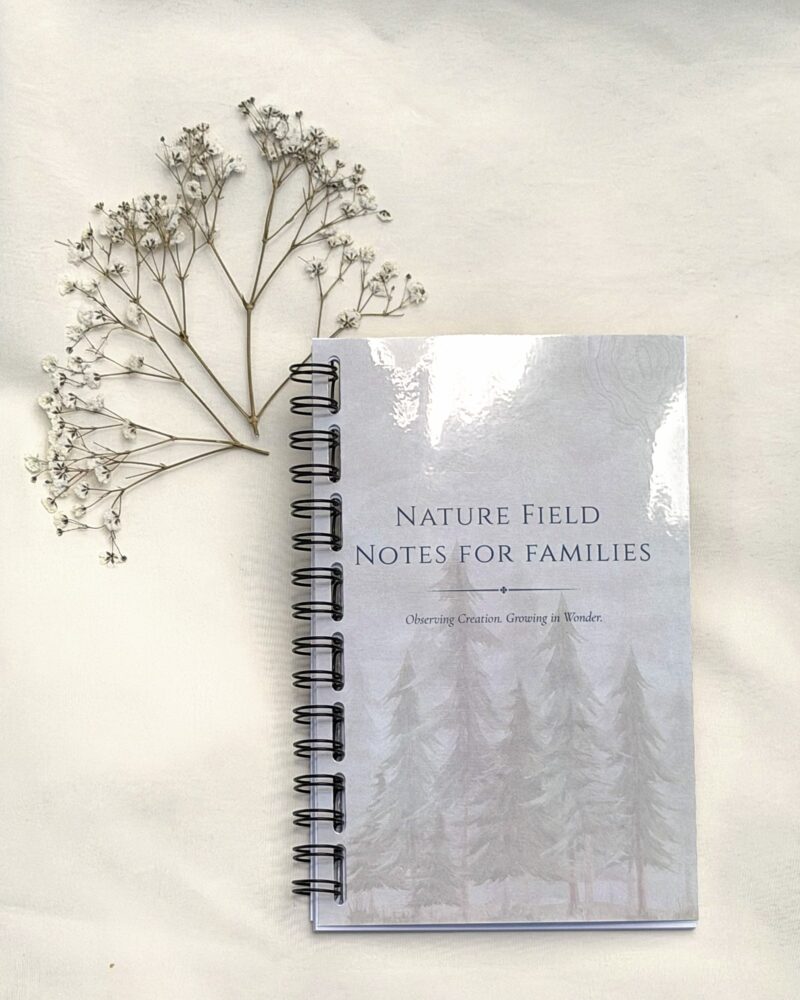 Nature Field Notes for Families